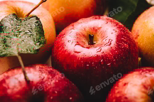 Preview: Red fresh raw apple close up. Autumn, harvesting