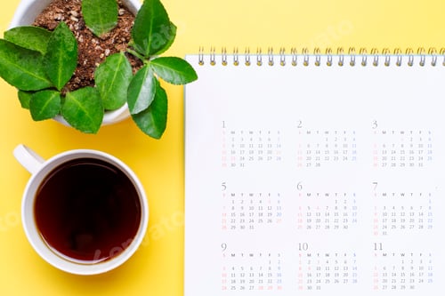 Preview: Calendar and green plant on yellow background close-up, planning concept.