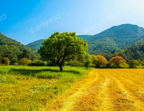 Vista previa: Natural Landscape Background for Travel and Tourism
