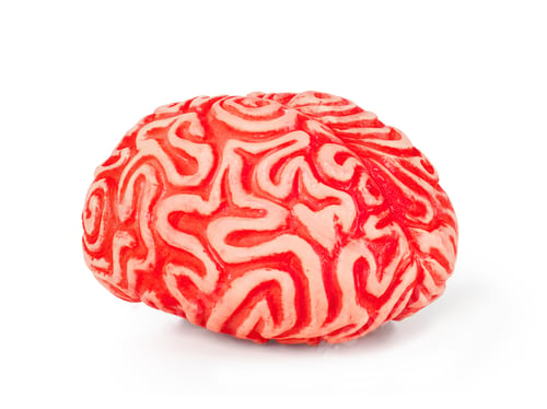 Preview: Human rubber brain
