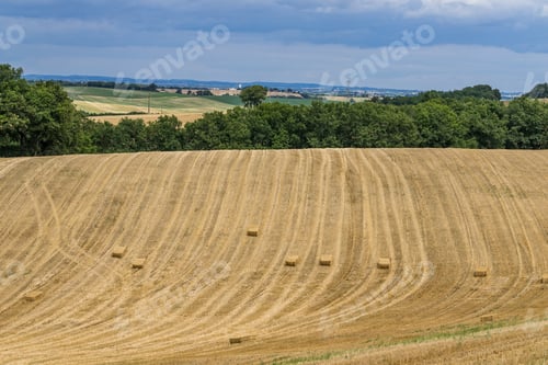 Preview: Harvest on Field
