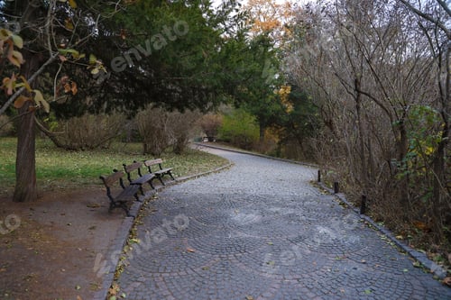 Preview: Beautiful Nature Autumn landscape. Scenery view on autumn city park