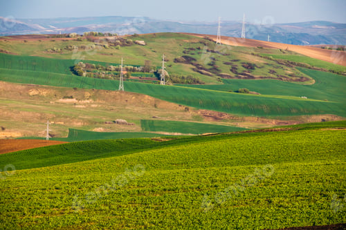 Preview: Rolling hills in spring