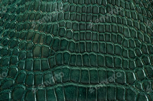 Preview: Green alligator leather, skin