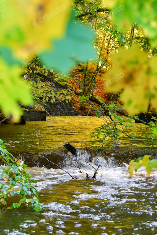 Preview: Photo of water flowing in a river during autumn