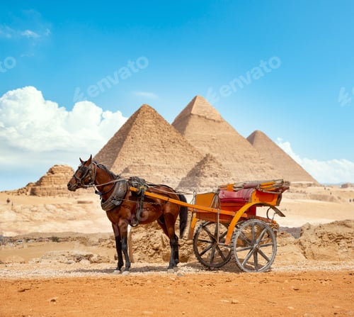 Preview: District of city of Giza