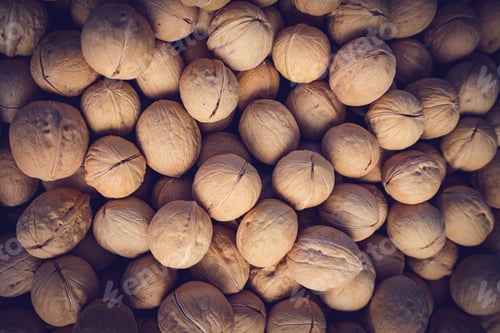 Preview: Natural walnut background pattern texture