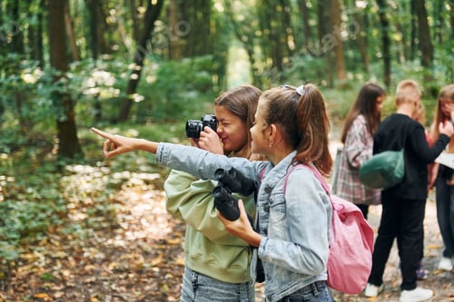 Preview: Looking for a path. Kids in green forest at summer daytime together