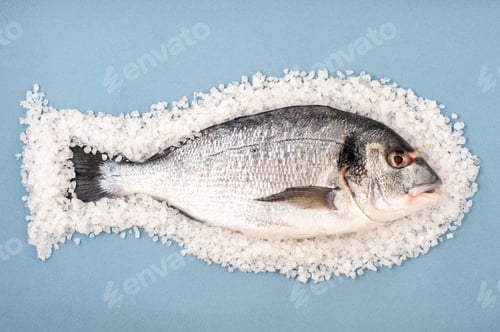 Preview: Dorado fish on a large sea salt on a light blue background.