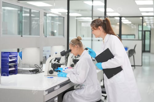 Preview: Scientists collaborate in a modern laboratory focusing on microbiological research