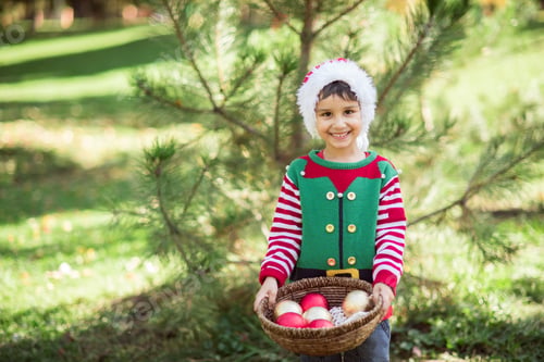 Preview: Little boy in sweater and hat waiting for a Christmas in the wood