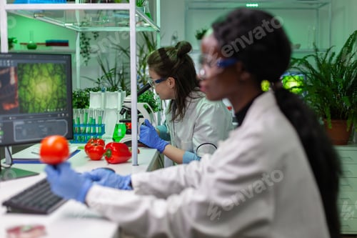 Preview: Health chemist checking sample of vegan meat looking through microscope