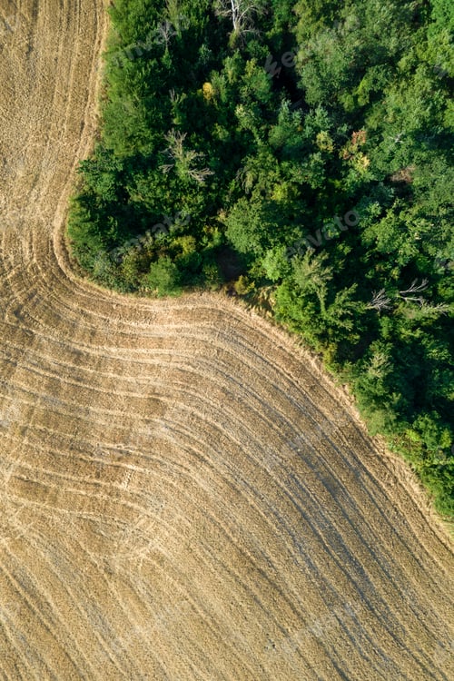 Preview: Aerial view of the shape of the fields Tuscany Italy
