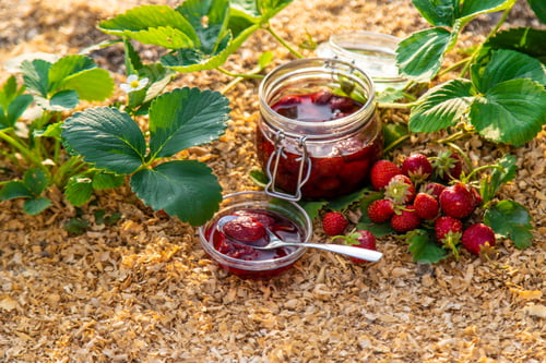 Preview: Strawberry jam in the garden. Selective focus.