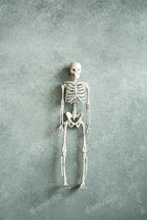 Preview: Little toy skeleton over grey background, minimalistic Halloween concept, top view flat lay