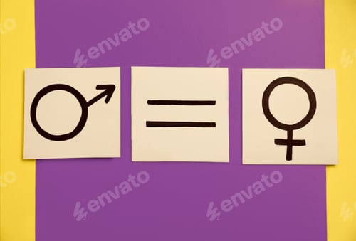 Preview: Gender equality. Cards with equal sign, male and female symbols on color background, flat lay