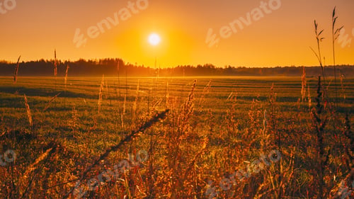 Preview: 4K Beautiful autumn field landscape TimeLapse . Sun Shining During Sunny Sunset Evening. 4K Calm