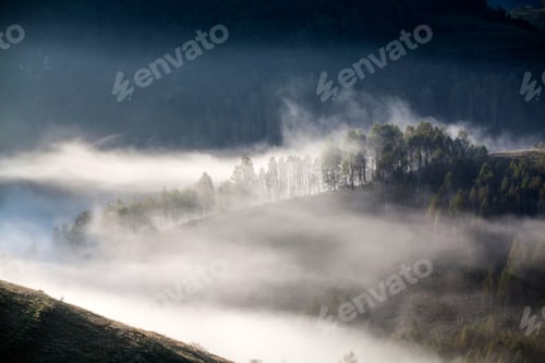 Preview: Summer morning mist