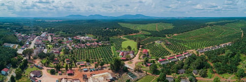Preview: Aerial drone view of oil palm plantations land near a small town in Asahan, Melaka, Malaysia.