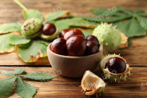 Preview: Horse chestnuts and leaves on wooden table