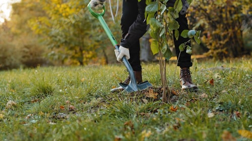 Preview: Close-up unrecognizable male eco activist volunteer of social project in support nature planting