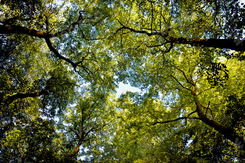 Preview: Looking up