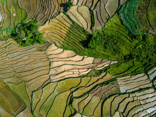Preview: aerial view of terraced farmland