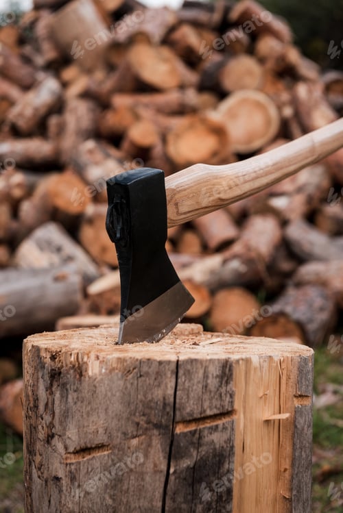 Preview: Ready for cutting timber. Close-up of axe cutting log while other logs laying in the background