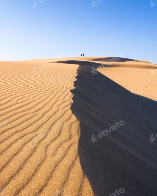 Preview: Sand dunes in the evening. Summer landscape in the desert. Lines in the sand.