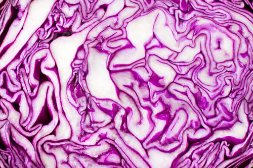 Preview: A slice of a head of red cabbage. Close-up. Texture background