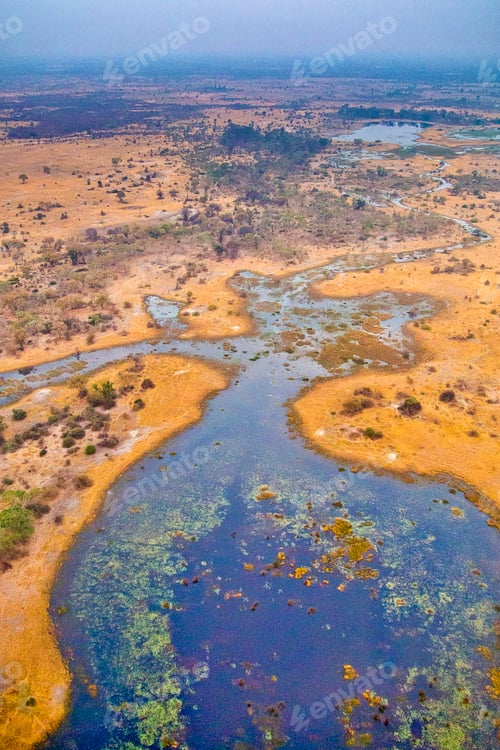 Preview: Aerial view, Okavango Wetlands, Okavango Delta, Botswana