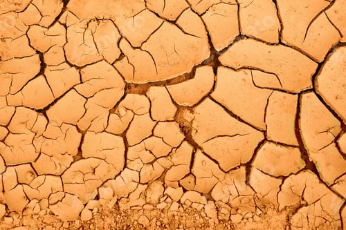Preview: Cracked Earth Texture in Arid Desert Landscape