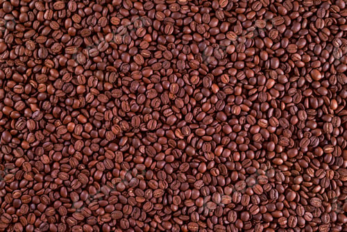 Preview: Roasted Coffee Beans