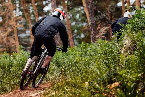 Preview: rear view male racer riding on forest trail downhill race, black sports clothes, biking high plants