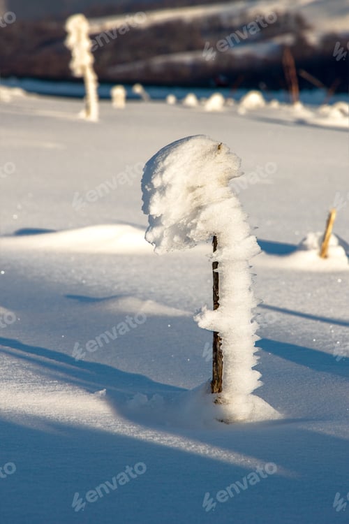 Preview: frozen