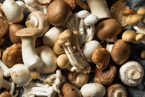 Preview: Raw Organic Gourmet Mushroom Assortment