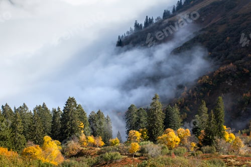 Preview: Fog drifting through autumn forests at Furkajoch mountain pass