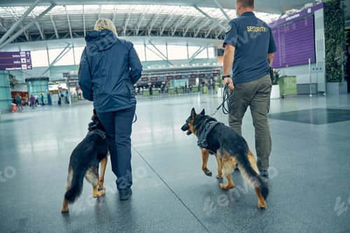 Preview: Two officers with detection dogs walking in airport terminal