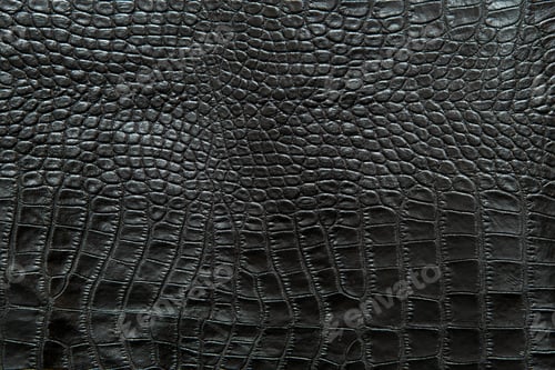 Preview: Black texture of crocodile skin.