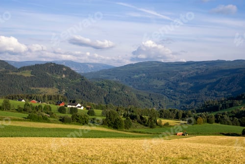 Preview: Farmland on a mountain slope in the norwegian valley Gudbrandsdalen