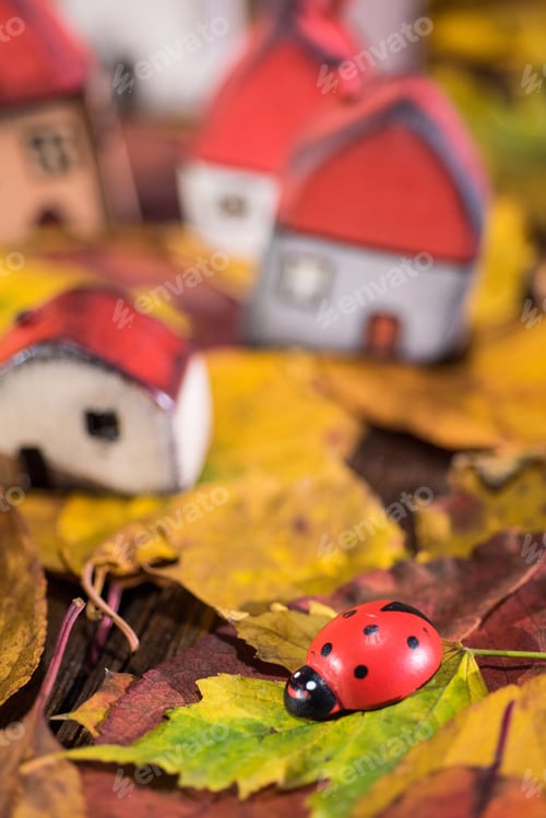 Preview: Painted toy houses on autumn leaves