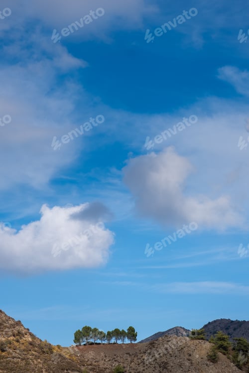 Preview: Pine trees at the edge of the cliff against blue cloudy sky in the day