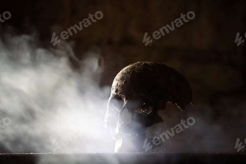 Preview: Scary grunge skull wallpaper. Halloween background.
