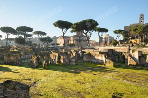 Preview: Ruins in the Roman Forum