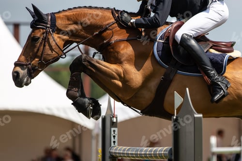 Preview: Horse Jumping, Equestrian Sports, Show Jumping event themed photograph