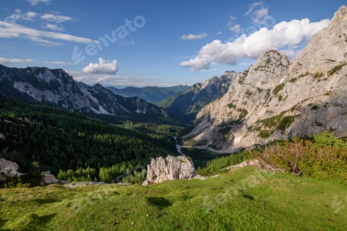Preview: Flowers, path and trees on the way to the summit of a mountain