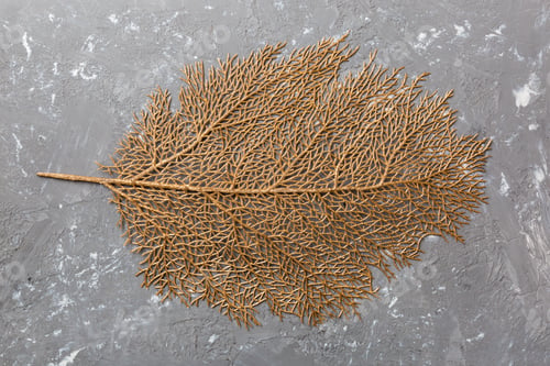 Preview: Top view of golden leaf shaped tablecloth for food on cement background. Empty space for your design