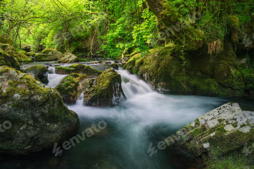 Preview: Small river goes around rocks and surrounds trees in spring