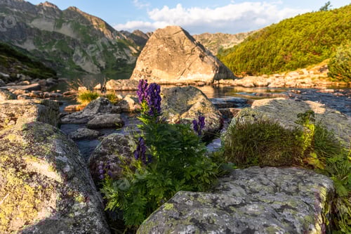 Preview: Alpine lakes " Dolina Pieciu Stawow" in Tatra Mountains, Poland at summer