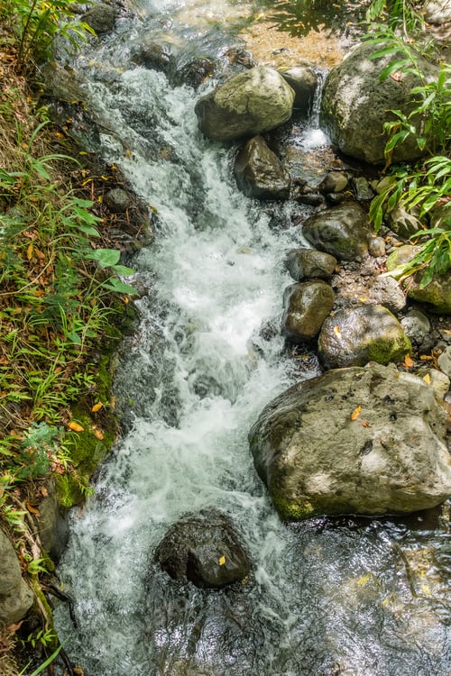 Preview: A Closeup Shot Of The Iao River In Maui, Hawaii.